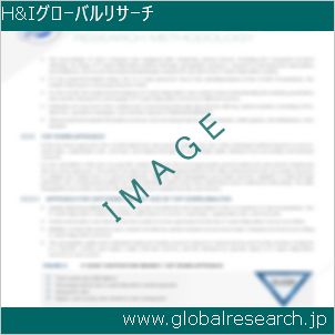 グローバルリサーチ調査レポートのイメージ